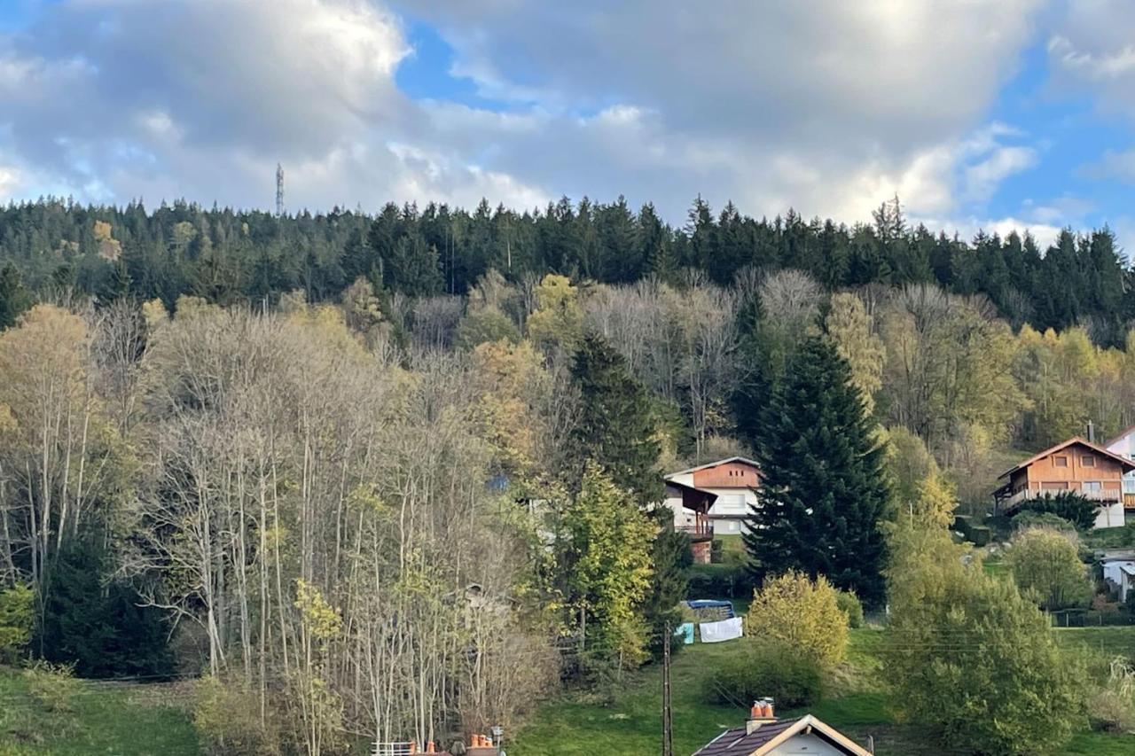 Bright Nest With Mountain View In Gérardmer Kültér fotó